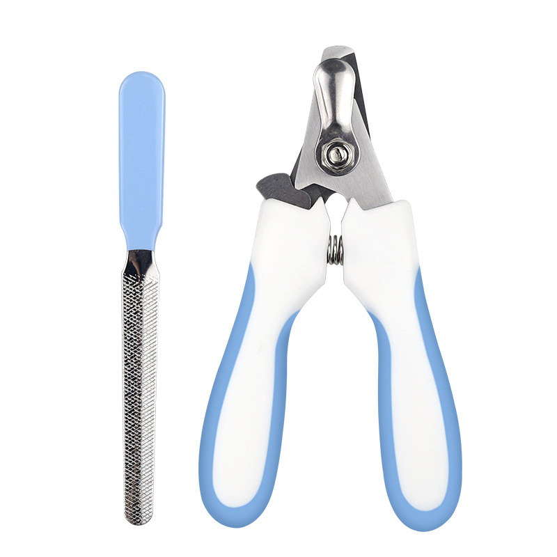 대형 토끼 귀 블루 라이트-무료 종이 카드