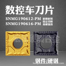 �������ص�Ƭ 251 252 SNMG190612-PM SNMG190616-PM