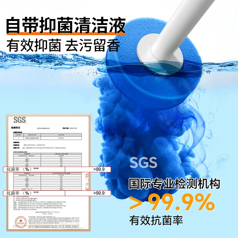 Disposable toilet, brush, storage system