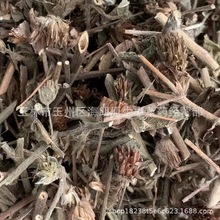 正品中药材开花地胆草草鞋根苦地胆 每件500克 实物拍摄不熏硫