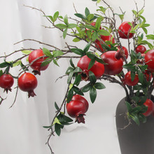 ʯ֦ٻӻcҾbĔzӰ߷滨Gֲ֦