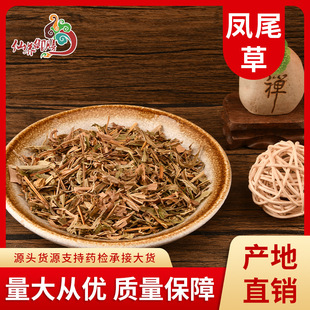 Pβ u u_ șPβ |CăNҎ