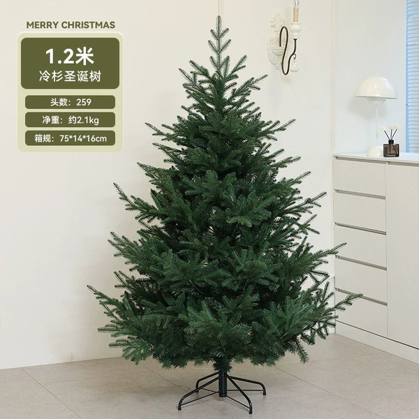 1.2 meters of fir tree
