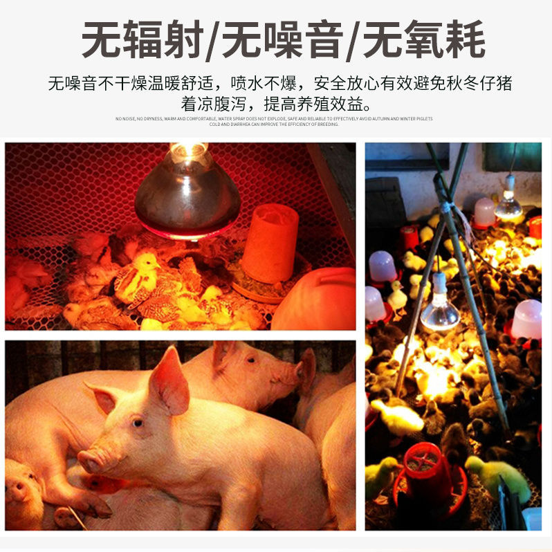 pig heat preservation lamp chicken breeding warm lamp pig farm heating heating lamp farm dedicated heating bulb can be sent on behalf