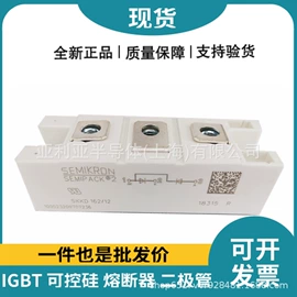 IGBT模块;集成电路;普通晶闸管