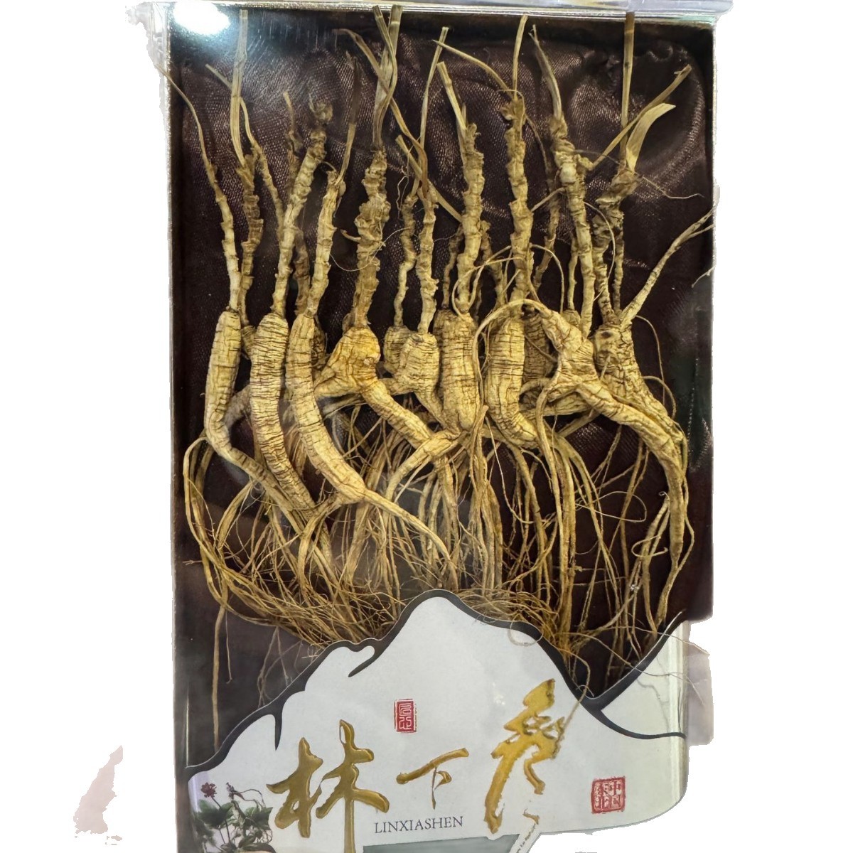 户外登山防滑装备