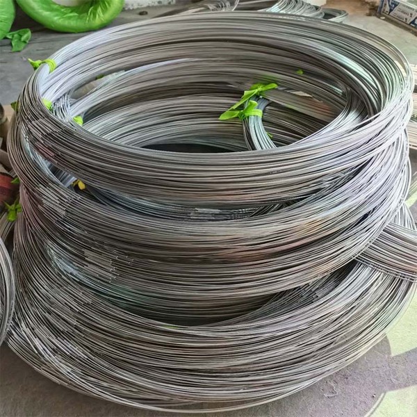 elastic skeleton