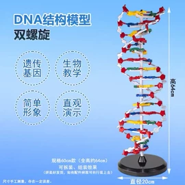 教学仪器;教学演示用品;试管、滴管