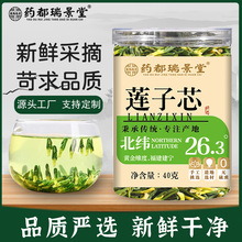 药都瑞景堂 莲子芯泡茶水正新鲜干心效去养生非野生药火材 莲子心