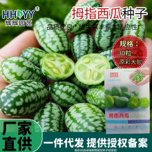拇指西瓜种子西瓜种籽春季秋迷你小盆栽四季阳台蔬菜种子水果种子
