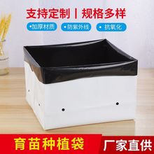 �S��ֱ�NPE�Ӻ�ڰ�Ĥ�Nֲ���o��������|���Ӻ�����Nֲ�����u