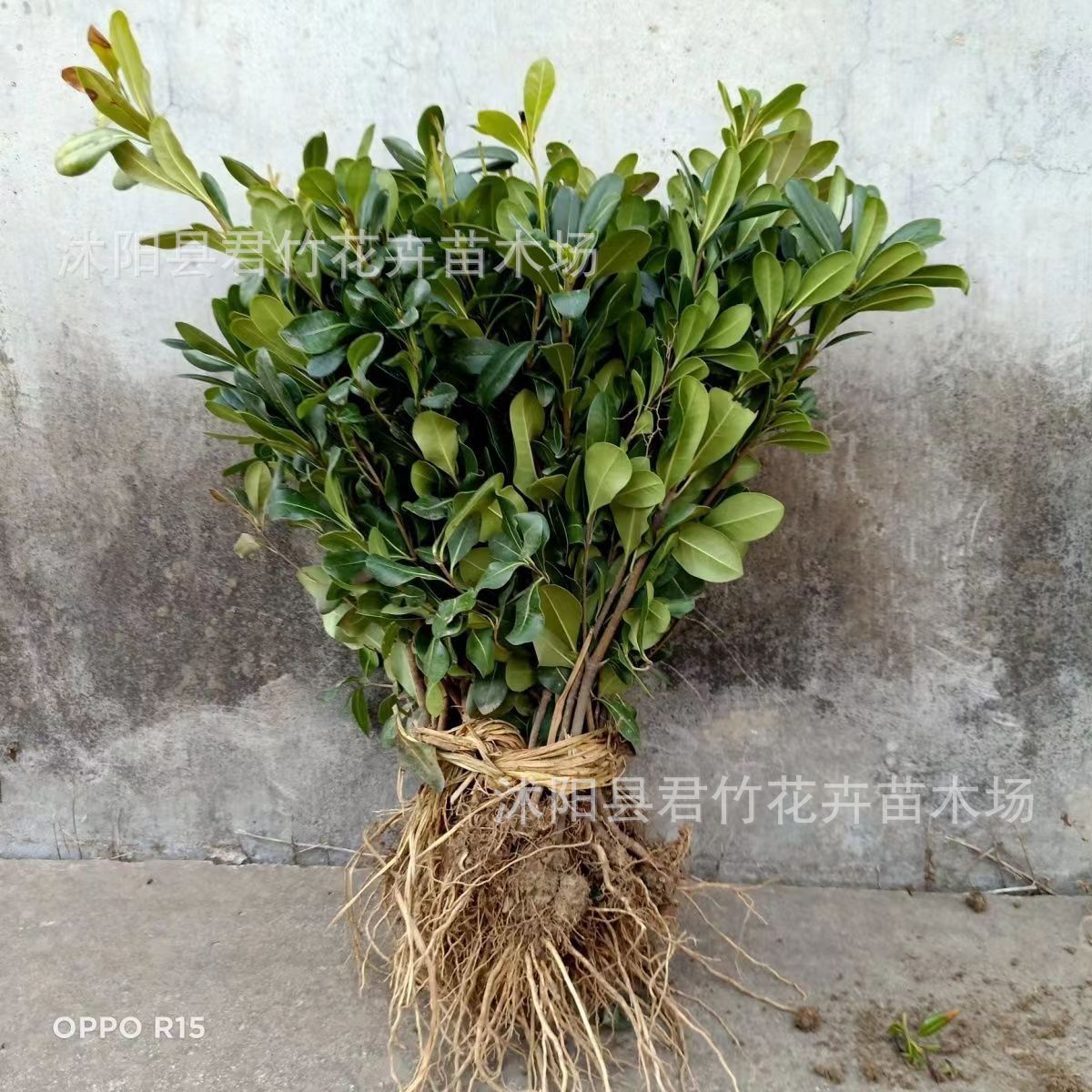 微信图片_20230828140046