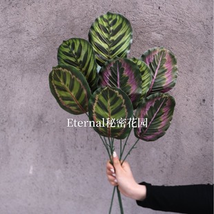 3D��ӡ�O���~�R���~�����~�����~�zƬ�~�ӾGֲ�쾰ֲ����c���l