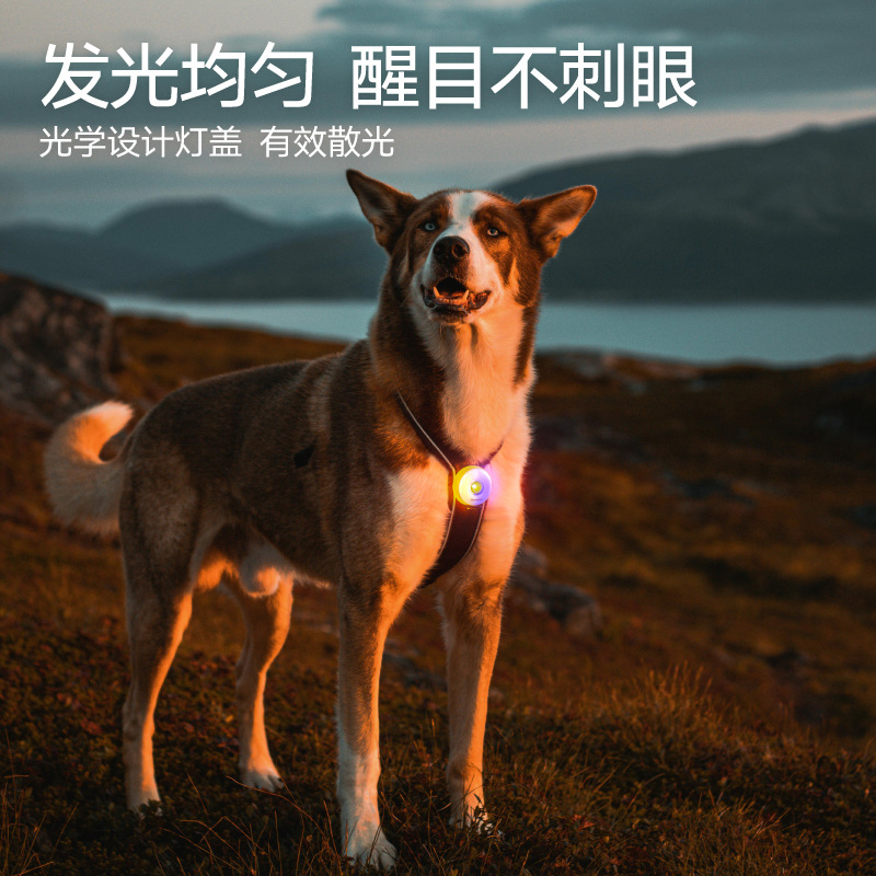 Miaohuwangye Dog ​​Night Travel Safety Light Anti-Lost Dog Walking Light Pet Luminous Night Travel