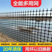 养鸡塑料网格围栏网拦鸡网家用养殖网防护网围栏栅栏户外菜园土工