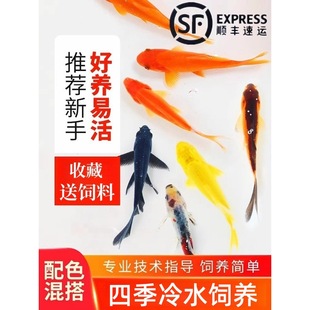 �^�p�~�ݽ��~����ˮ���w�~С�~���~С������B�ͻ����~��������~