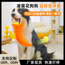 狗狗玩具凌霄花狗狗自助投球器自嗨解闷宠物益智互动玩具亚马逊
