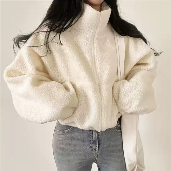 Korean style short stand up collar warm imitation lamb wool jacket women's autumn and winter new loose zipper cardigan top