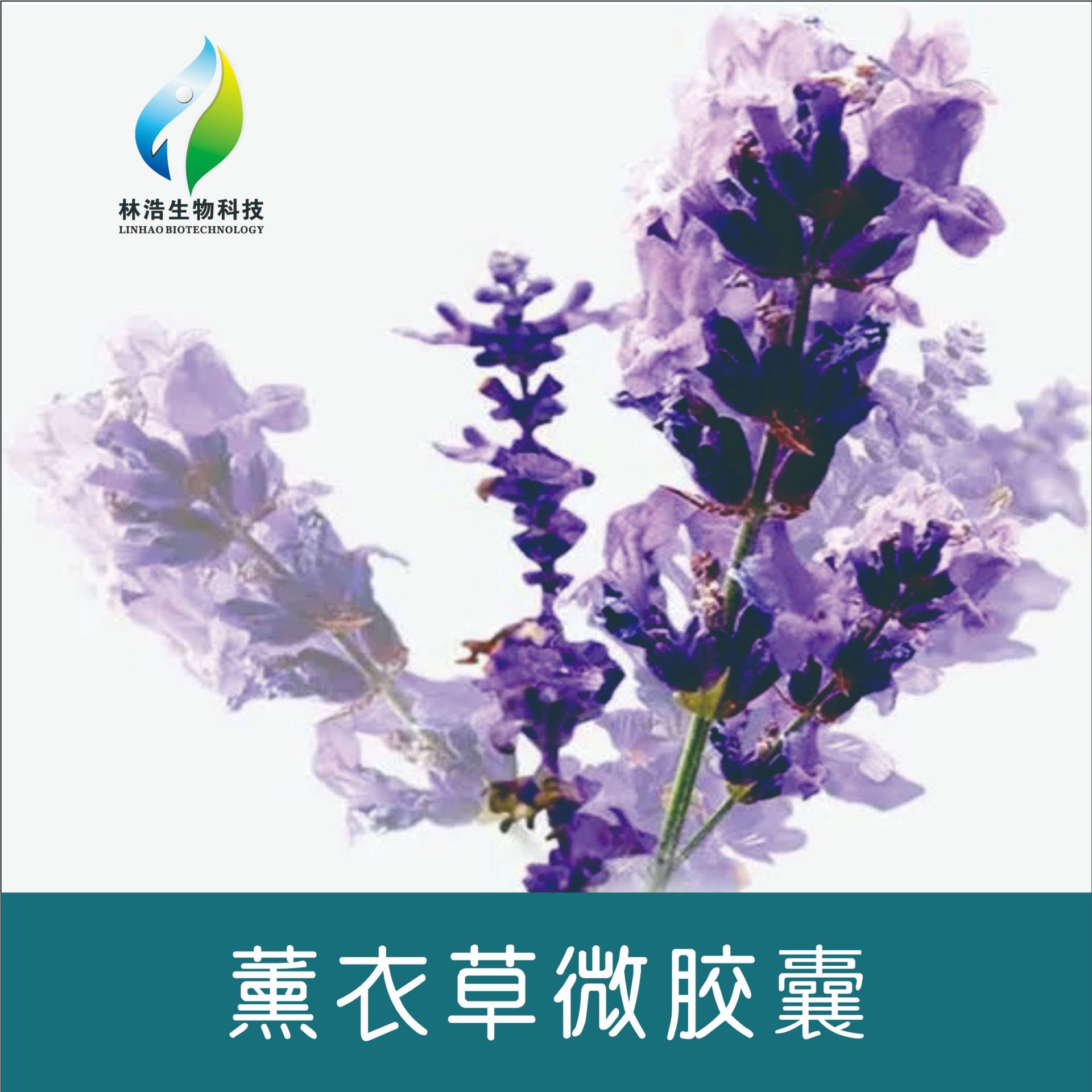 薰衣草香味整理剂LHSZ11 微胶囊香味剂 家纺服装织物芳香助剂