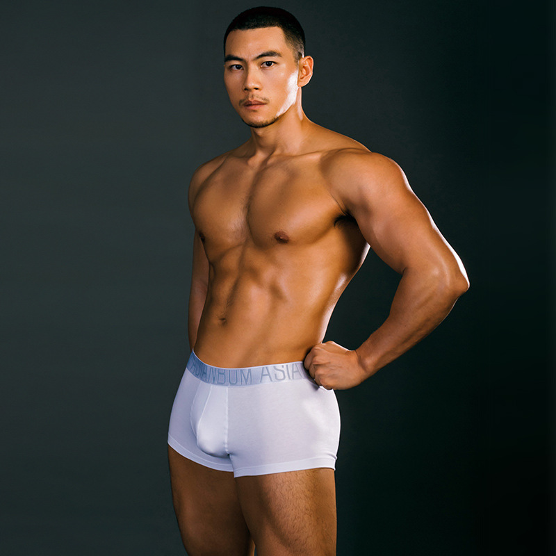 [Small Amount Wholesale] Men's Underwear Mid-Waist Cotton Boxer Briefs Youth Stripesd Comfortable Breathable Large Size Underwear