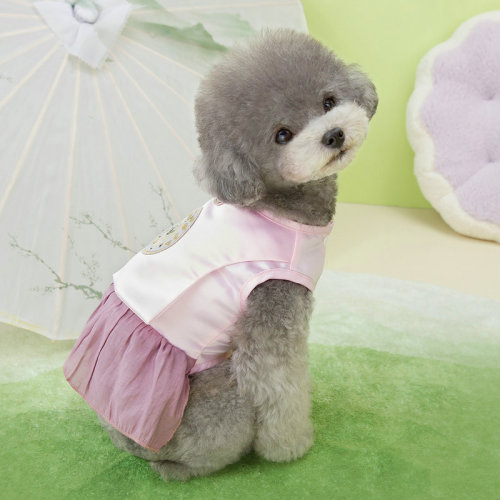 Dogs and cats Korean dress summer skirt spring clothes Bichonja Pomei small dog pet spring and autumn style college style