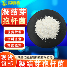 1000亿/g凝结芽孢杆菌 原料活菌益生菌冻干粉支持拿样现货包邮