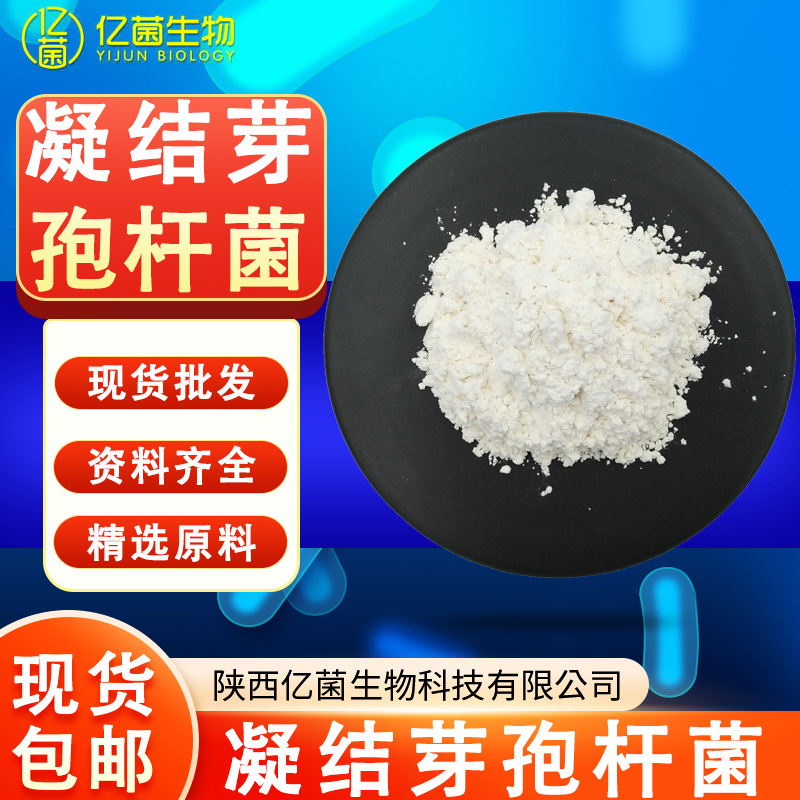 1000亿/g凝结芽孢杆菌 原料活菌益生菌冻干粉支持拿样现货包邮