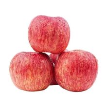 苹果 新鲜苹果批发价红代发丑冰糖心水果1/5/10斤整箱独立站跨境