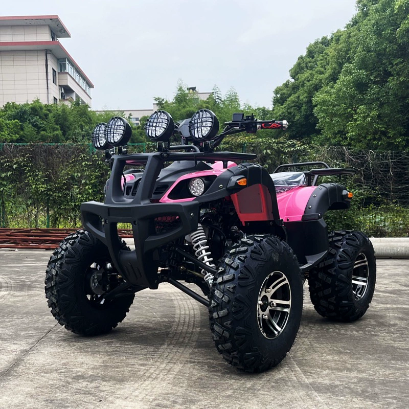 SUV, пляжный внедорожник, прямые поставки с завода