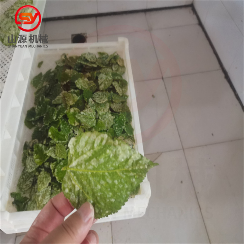 天妇罗南瓜花油炸机 桑叶油炸机 全自动香酥翠叶油炸生产线