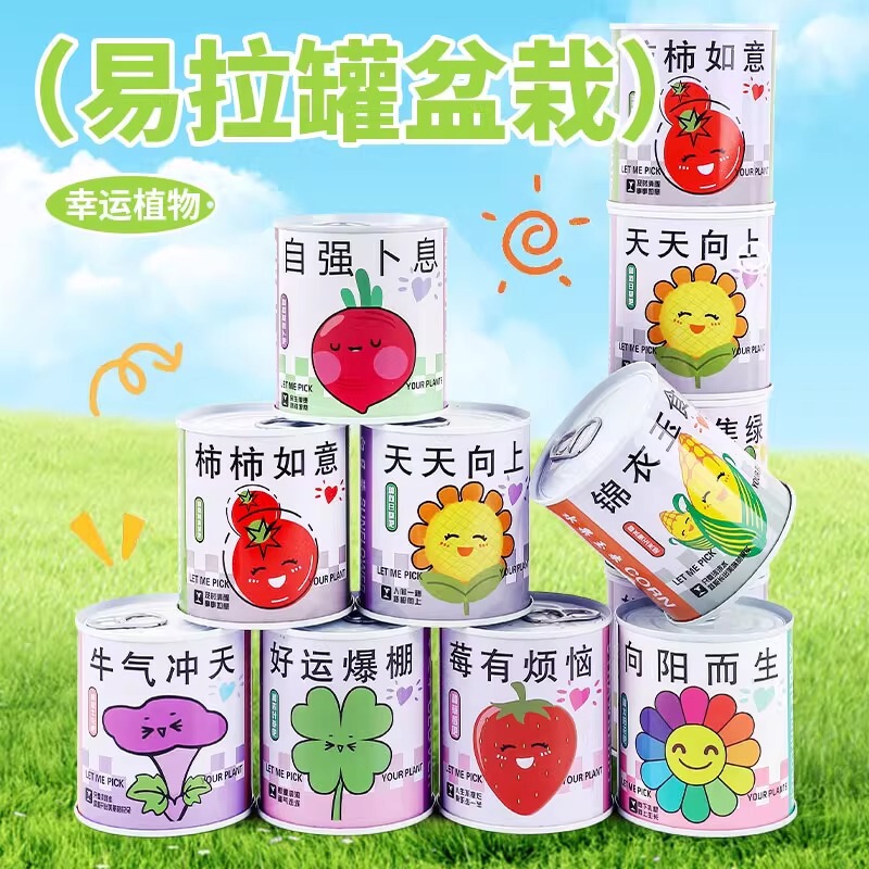 Blind Box Office Magical Plant Small Potted Green Plant Can Desktop Mini Children's Handmade Toy Stress Relief Blind Box Office Magical Plant Small Potted Green Plant Can Desktop Mini Children's Handmade Toy Stress Relief