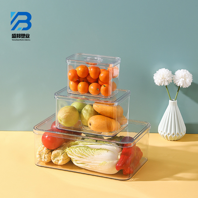 Pet Refrigerator Storage Box Kitchen Supplies Food and Vegetable Dust-Proof Plastic Box with Lid Transparent Fresh-Keeping Box Storage