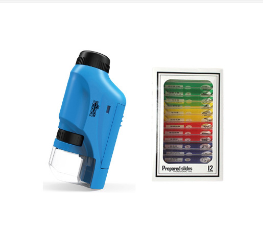 블루 (영어) 컬러 표본
