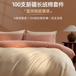 高端100S床上四件套纯棉全棉加厚磨毛防螨被套秋冬保暖床单品笠4A