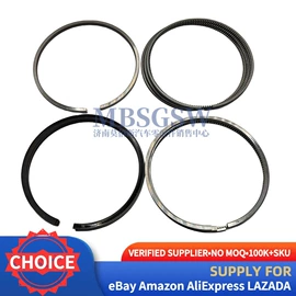 其他发动系统;活塞/活塞环;气缸及部件