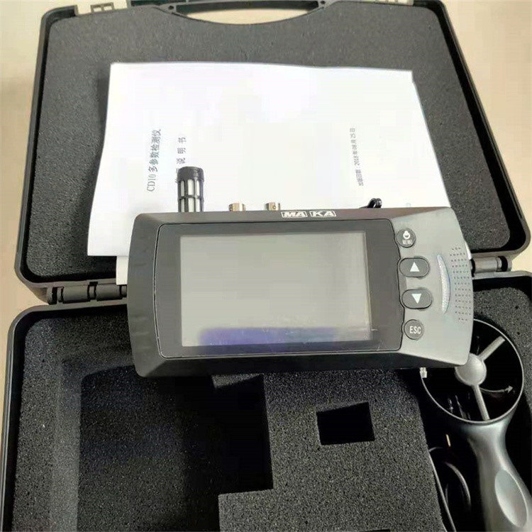 多参数气体检测仪 型号:CD10  库号：M345039