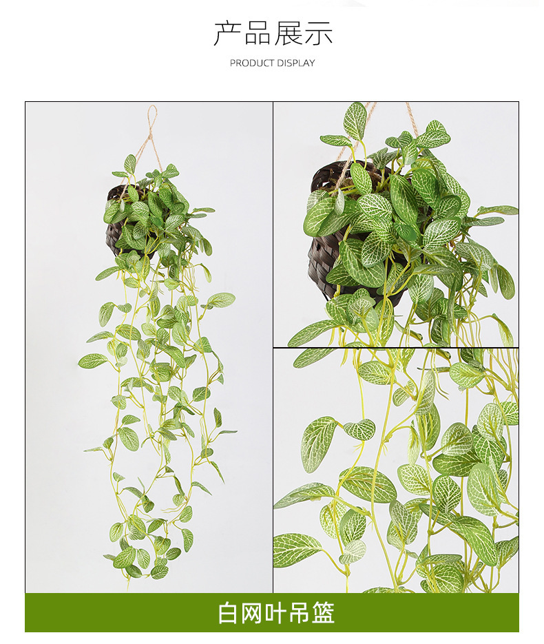 O1CN01kF9kdx1zidKCM1V6v_!!2159