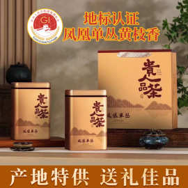 凤凰单枞潮州乌龙茶礼盒装单丛茶黄枝香单丛礼品茶叶源头批发工厂