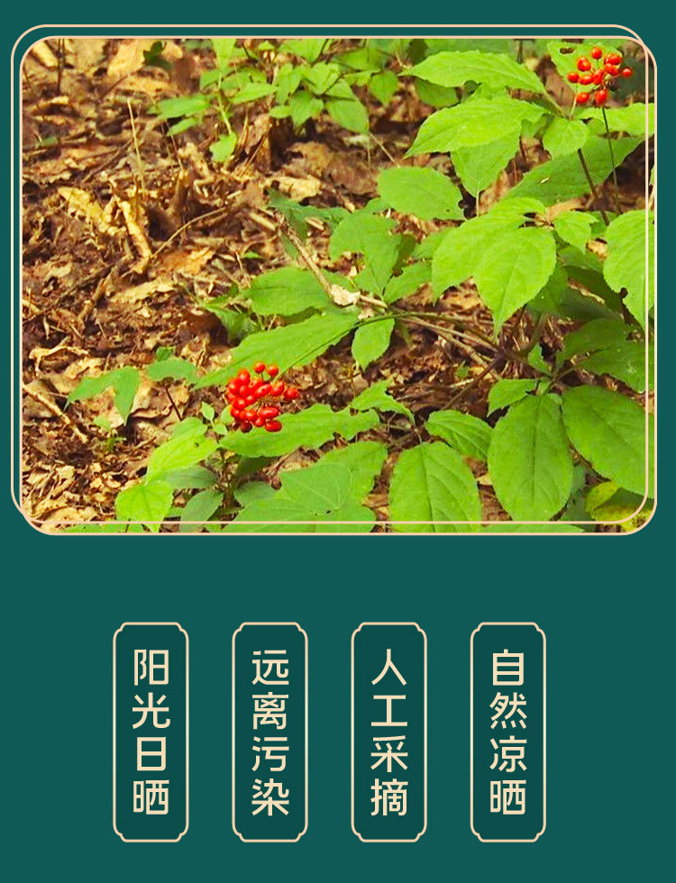 D-_桌面_产品_40木盒参_新建文件夹_详情_03