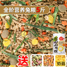 �üZ�����5���׳Ɍ������ӼZʳ٪��I�B����w����Ħ����