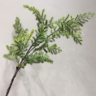 �����Rβ�ɶU������ʽ�b��ɰ��~�G�������ɾƵ���Ô[����֦���l