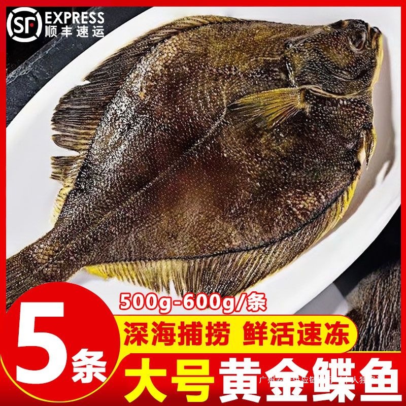 鲜冻鲽鱼整条带头冷冻海鲜新鲜黄金鲽鱼深海船冻营养丰富银鱼整鱼
