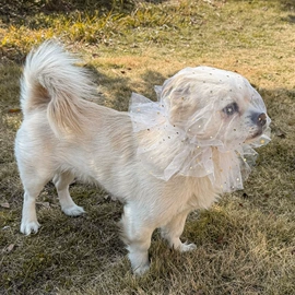 浴帽;衣物防尘罩;收纳袋收纳包