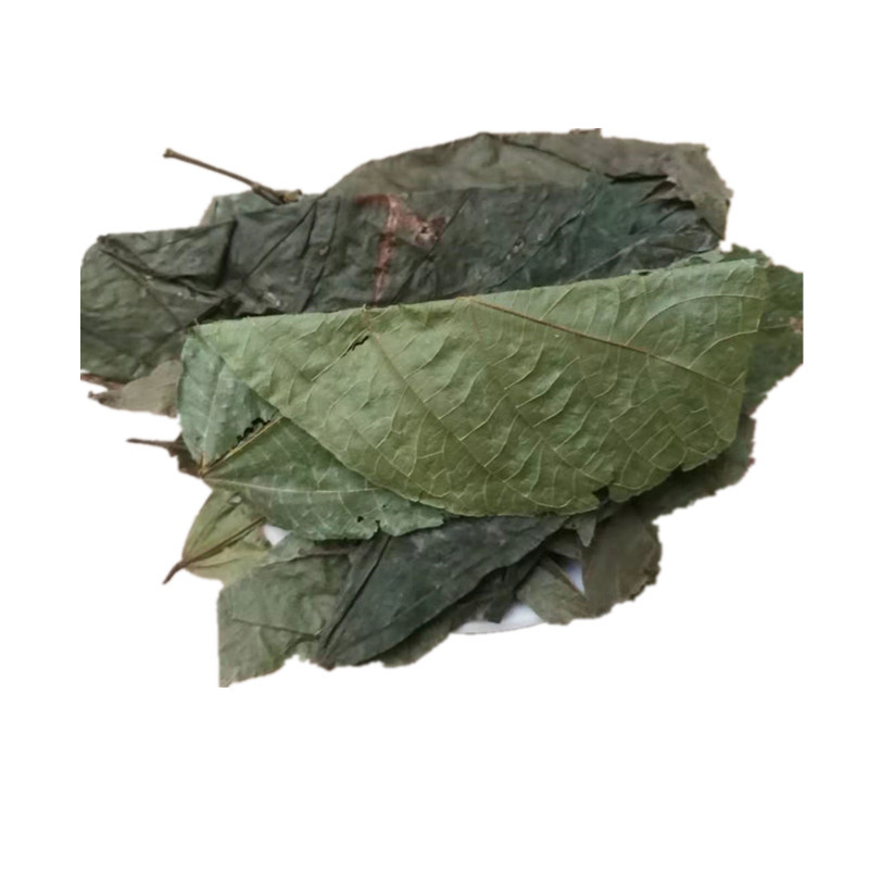 Bu Zha Ye Dried Microcos Leaf 500g Traditional Chinese Herbal Tea Ingredient for Decoction and Culinary Use in use