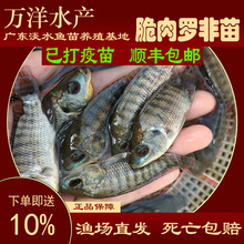 �_���~���¼������Ե�ˮ�Bֳ�ش��~�ͺ�����һ̖���Դ����_���~��