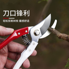 园艺修枝剪粗枝剪果树盆景修剪工具不锈钢花艺剪刀鲜花剪