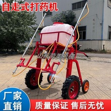 ʽșCșCС݆rַʽ͎ܴ