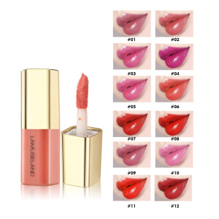 LAMUSELAND/LAMUSELAND Velvet Mini Fog Moisturizing Matte Lip Gloss Sample Economical Makeup 3.5G