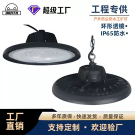 太阳能灯;道路照明灯;投光灯