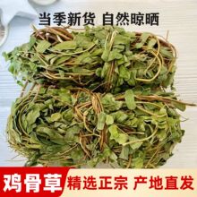 ���u�u�ǲ�Ұ���u�ǲݲ莧�~����Ȼ���S��500���Ҝ���ʳ��